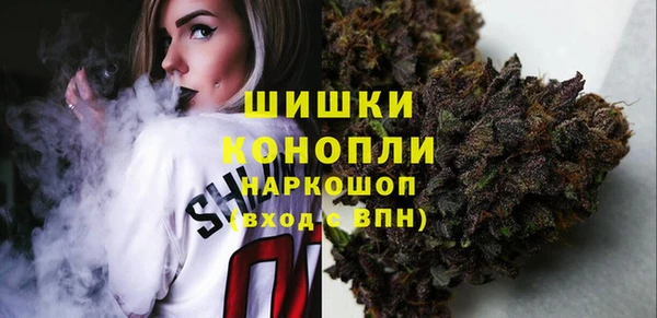 spice Алексин